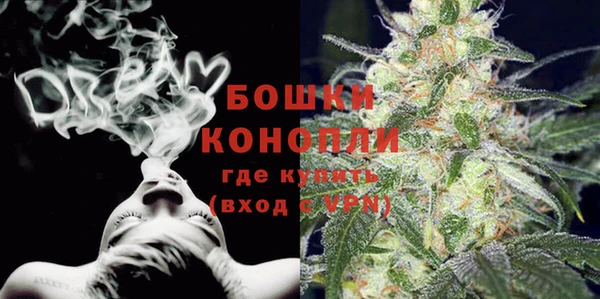 гашик Майский