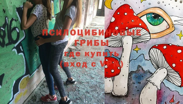 амф Магас