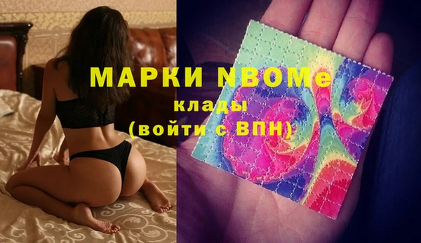 гашик Майский