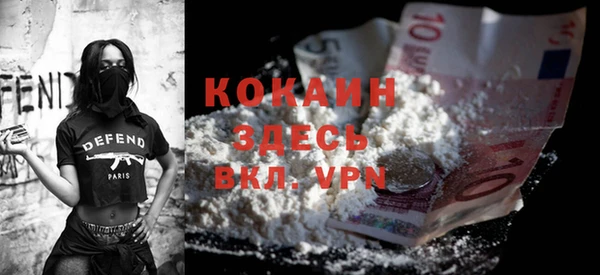 шишки Билибино