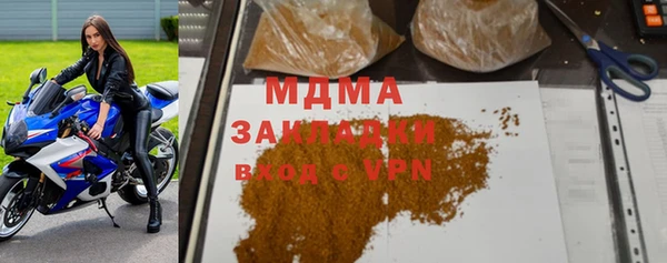 шишки Билибино